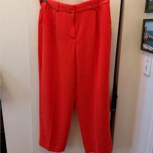 J.Crew Orange Pants